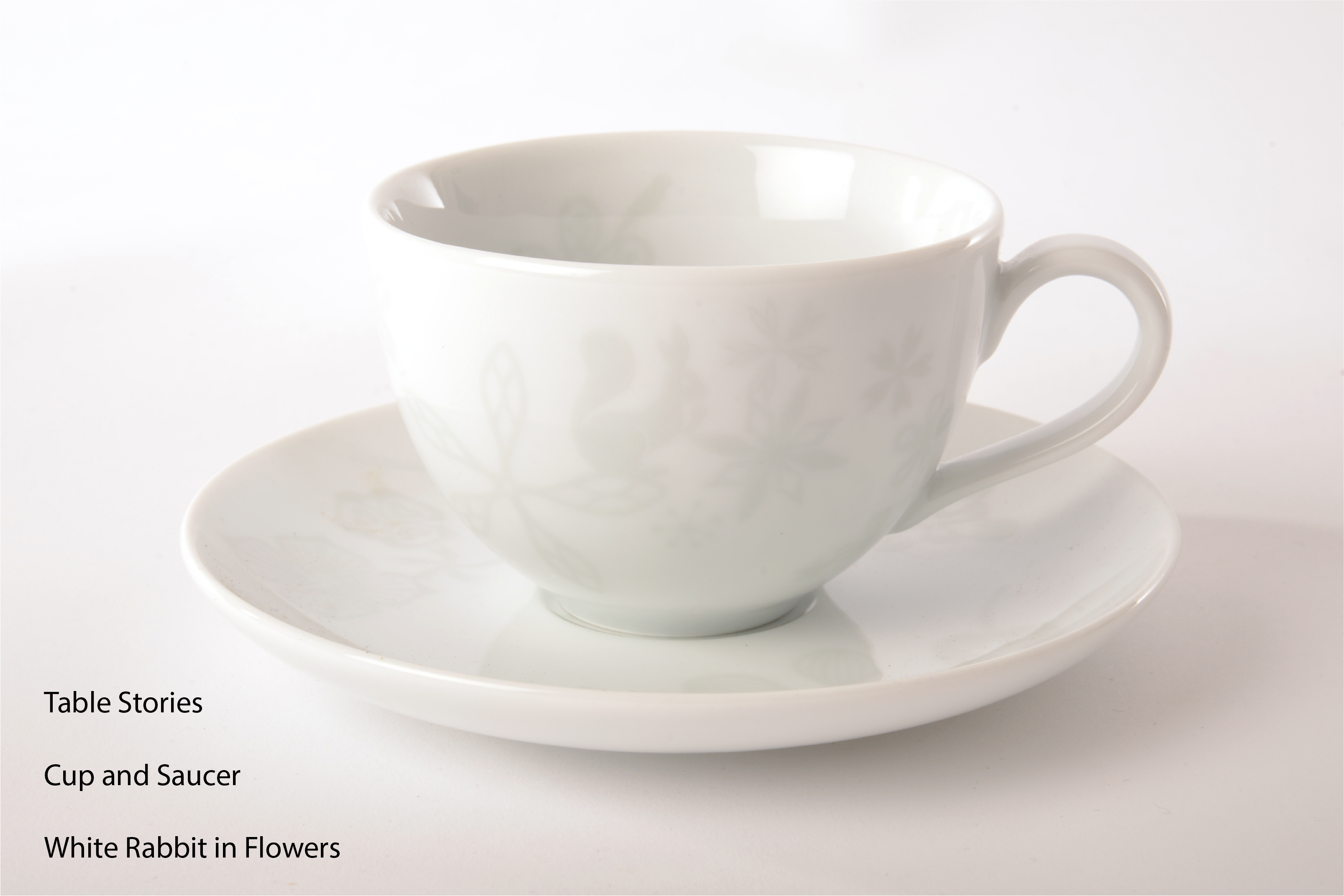 Table Stories - Cup and Saucer